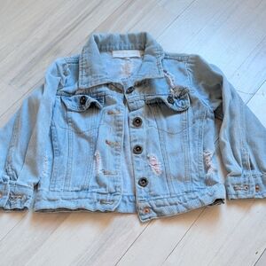 Embroidered Roses Jean Jacket